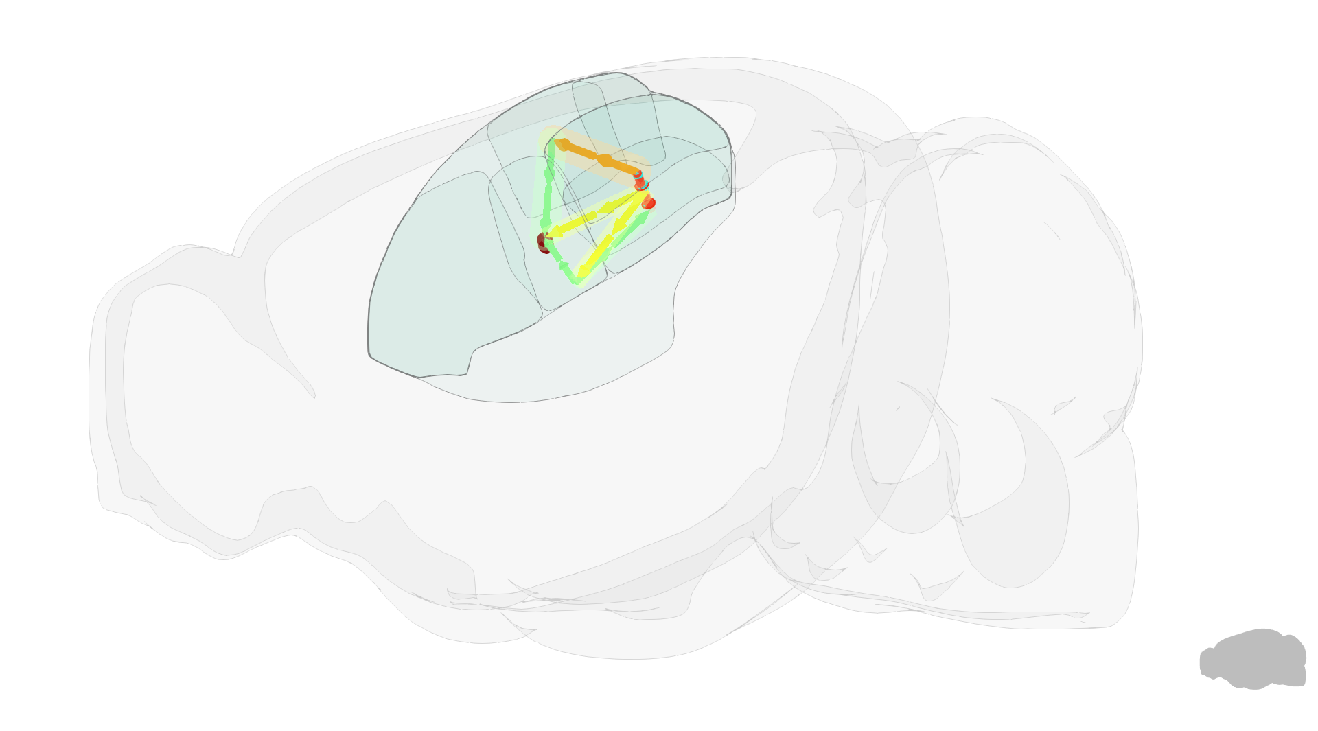 Brain Loop Search Pypi